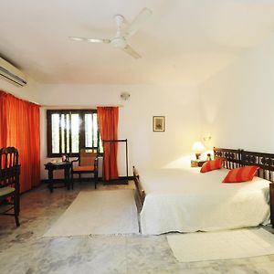 Garden Suite